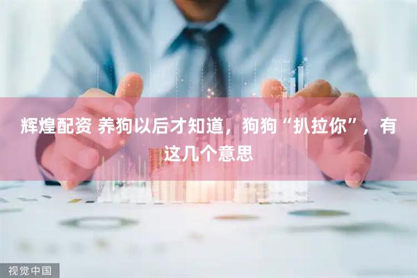 辉煌配资 养狗以后才知道，狗狗“扒拉你”，有这几个意思