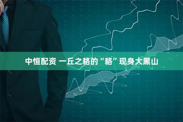 中恒配资 一丘之貉的“貉”现身大黑山