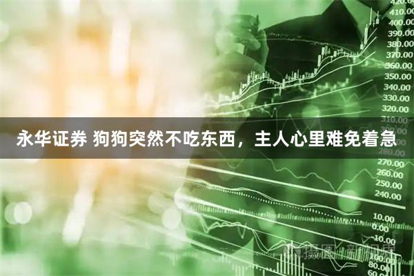 永华证券 狗狗突然不吃东西，主人心里难免着急