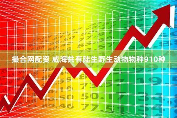 撮合网配资 威海共有陆生野生动物物种910种