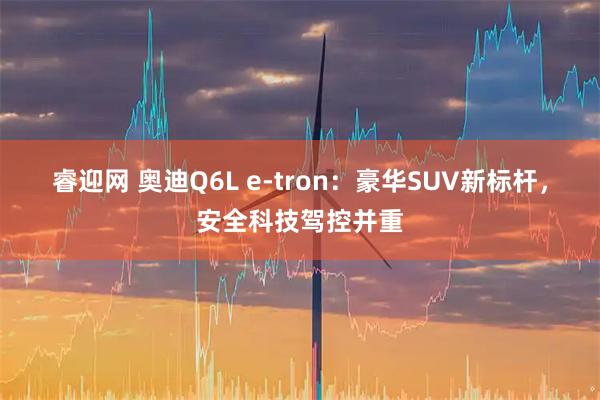 睿迎网 奥迪Q6L e-tron：豪华SUV新标杆，安全科技驾控并重