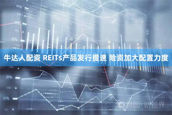 牛达人配资 REITs产品发行提速 险资加大配置力度